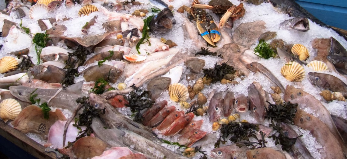 Dining out from Portmellon Cove